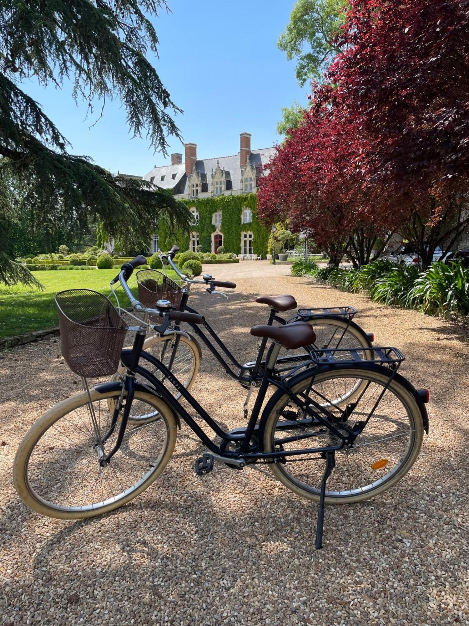 Chateau De L'Epinay Saint-Georges sur Loire Esterno foto